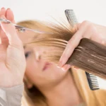 supercuts sunny isles
